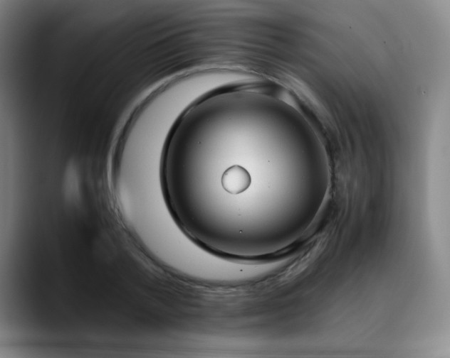 X0000090620788200707171434