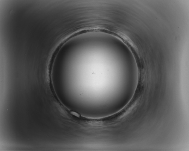 X0000090620789200707171434