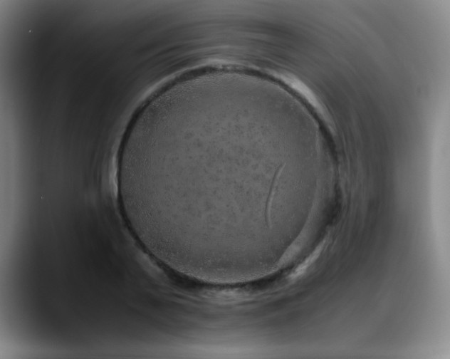 X0000090620791200707171434