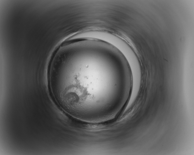 X0000090620795200707171434