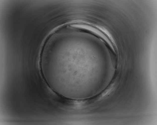 X0000090620799200707171434