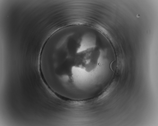 X0000090620802200707171434