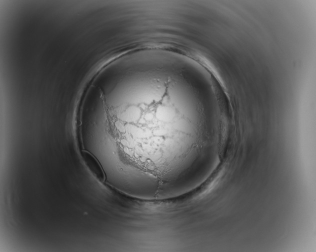 X0000090620803200707171434