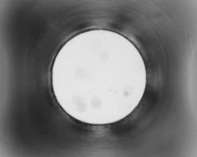 X0000090620807200707171434