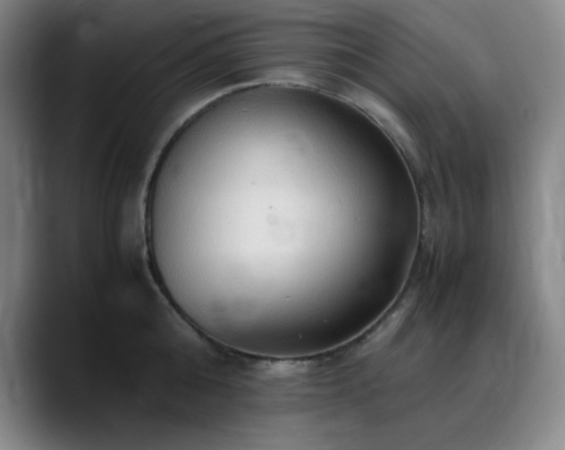 X0000090620808200707171434