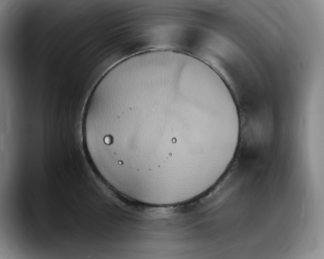X0000090620810200707171434