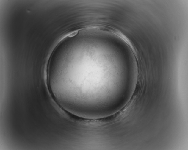 X0000090620811200707171434