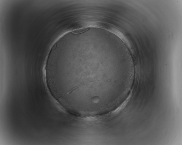 X0000090620814200707171434