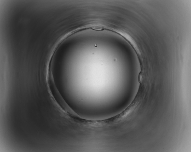 X0000090620815200707171434