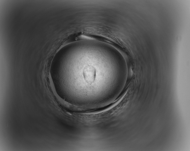 X0000090620817200707171433