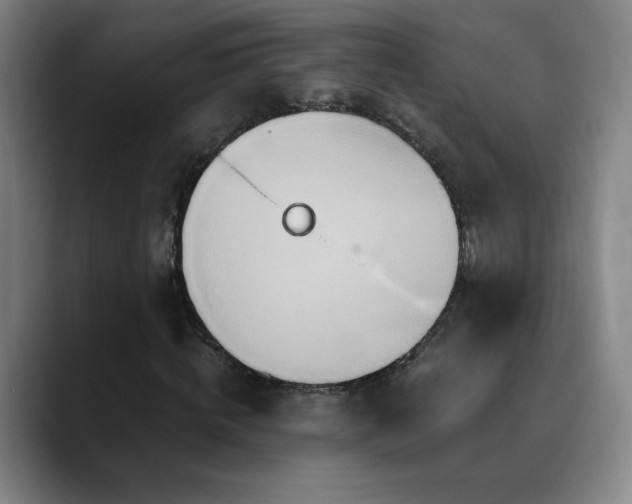 X0000090620820200707171433