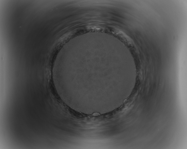 X0000090620821200707171433