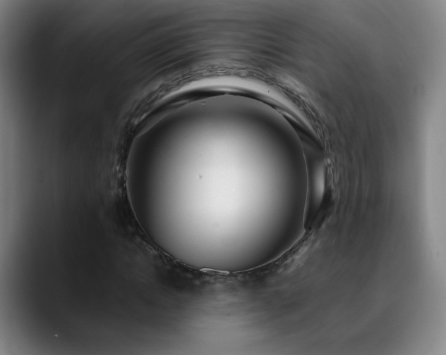 X0000090620822200707171433
