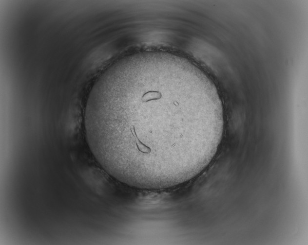 X0000090620824200707171433