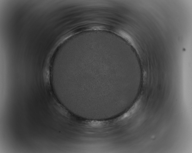 X0000090620827200707171433