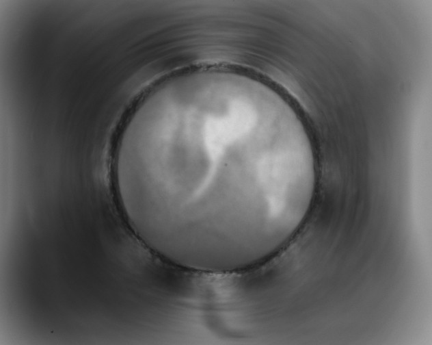 X0000090620832200707171434