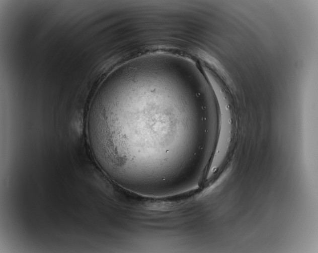 X0000090620833200707171434