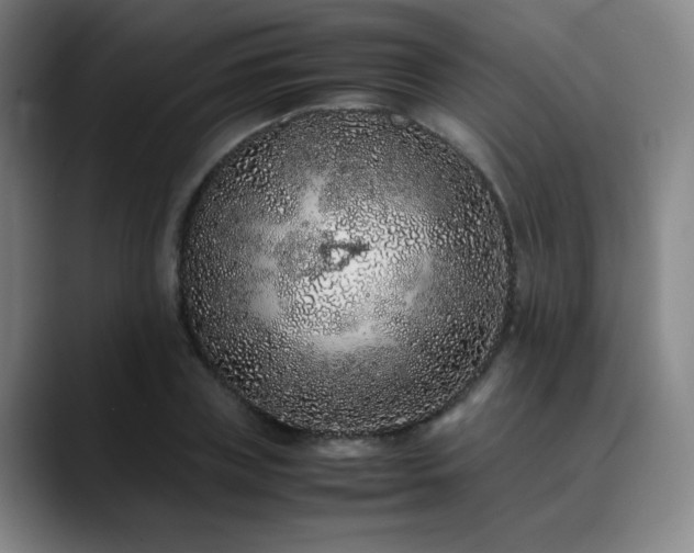 X0000090620835200707171434