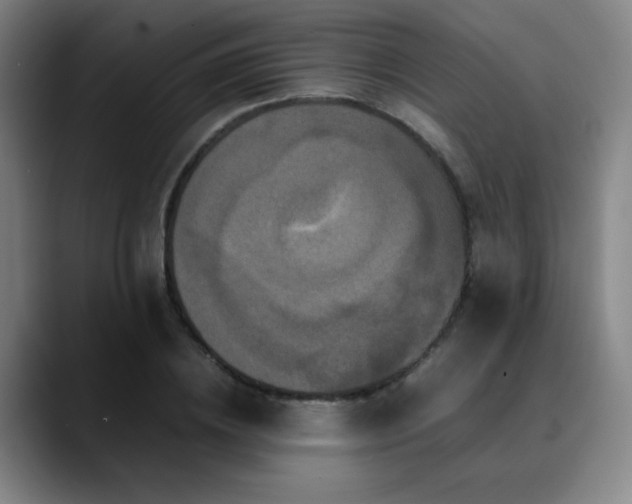 X0000090620836200707171434