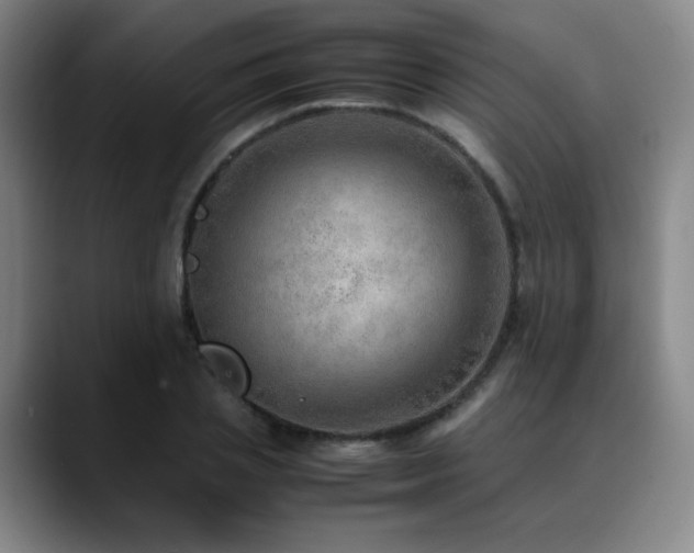 X0000090620837200707171434