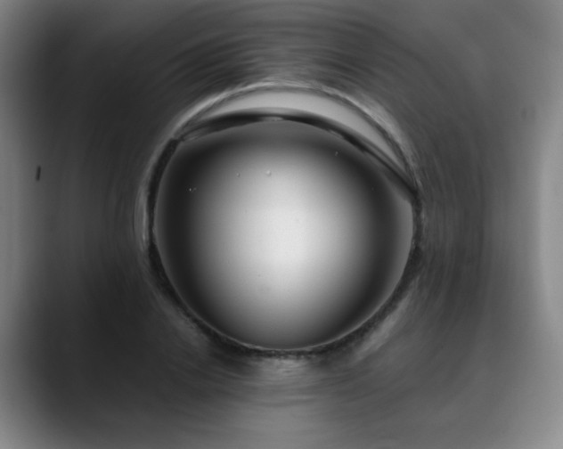 X0000090620838200707171434