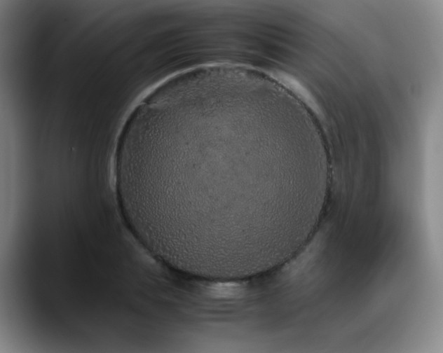 X0000090620839200707171434