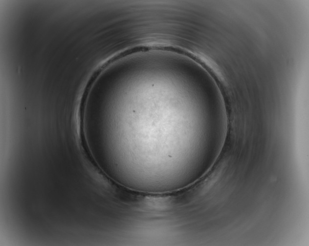 X0000090620840200707171434