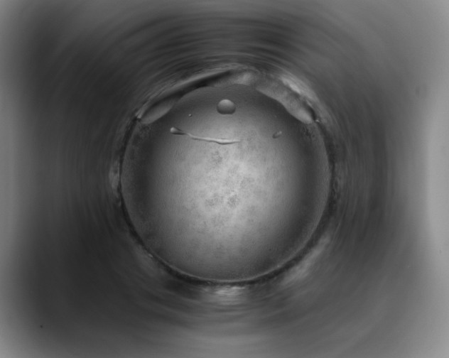 X0000090620841200707171434
