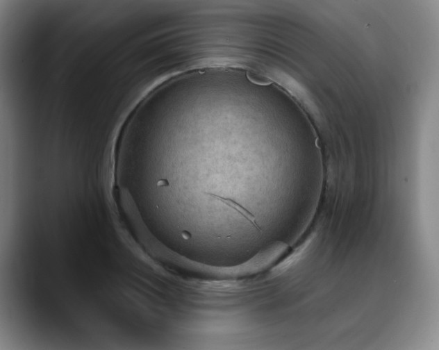 X0000090620844200707171434