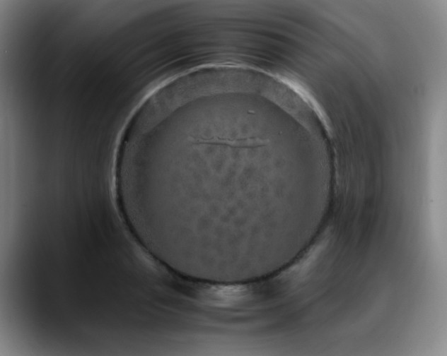 X0000090620845200707171434