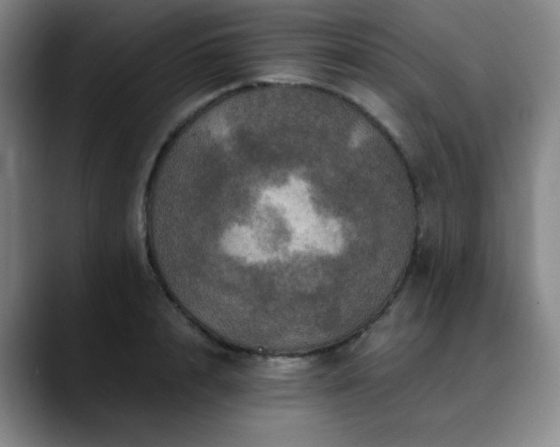 X0000090620848200707171434