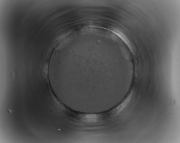 X0000090620849200707171434