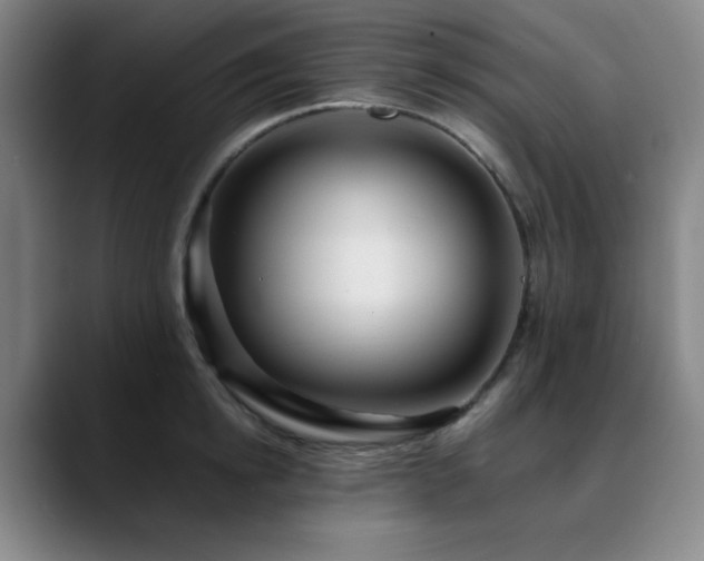 X0000090620854200707171434