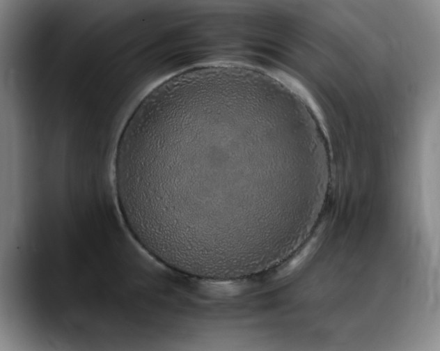 X0000090620855200707171434