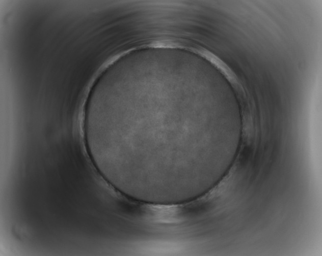 X0000090620856200707171434