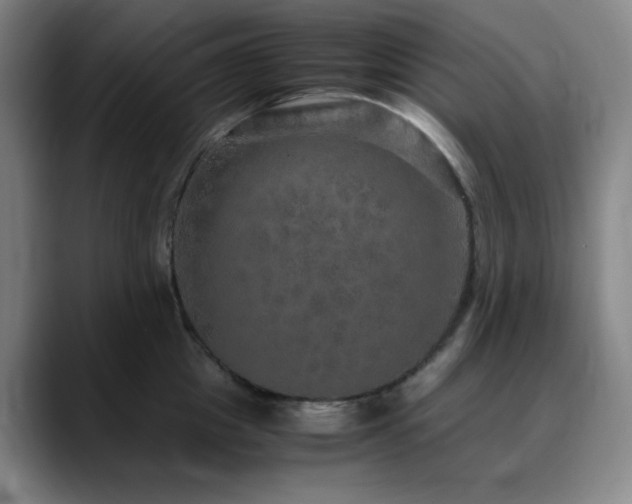 X0000090620857200707171434