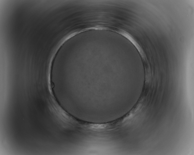 X0000090620861200707171434