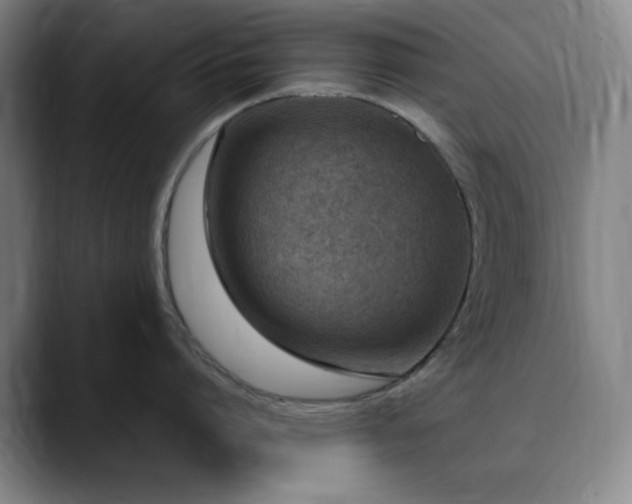X0000090620864200707171434