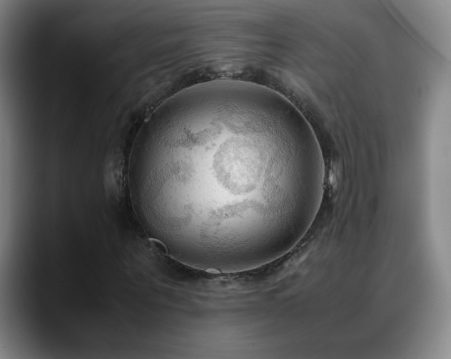 X0000090620867200707171433