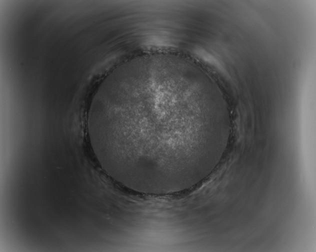 X0000090620870200707171433