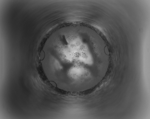 X0000090620871200707171433