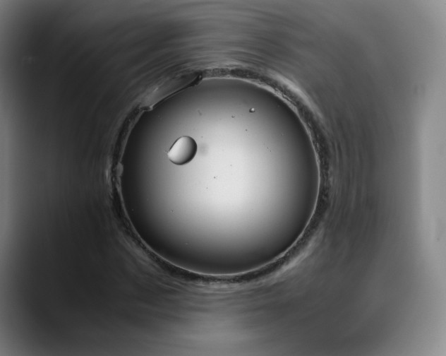 X0000090620873200707171433