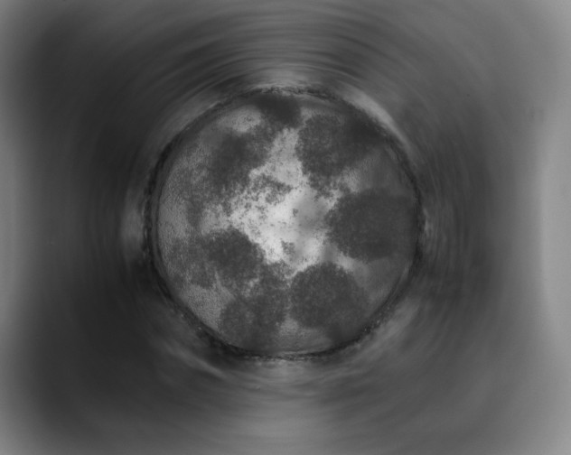 X0000090620874200707171433
