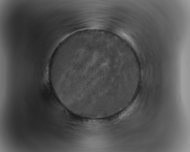 X0000090620875200707171433