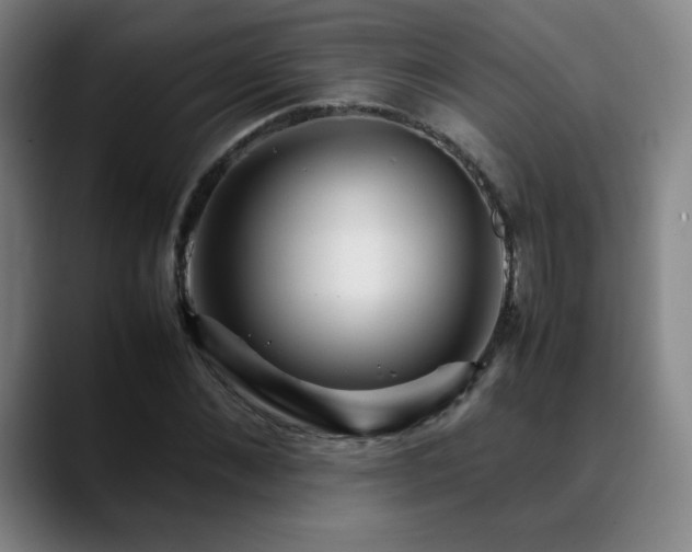 X0000090620876200707171433