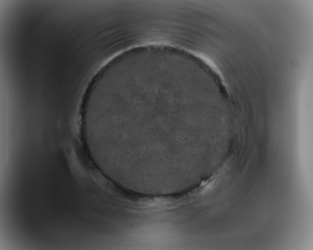 X0000090620879200707171433