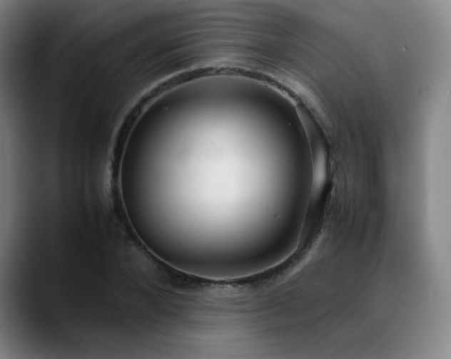 X0000090620880200707171433