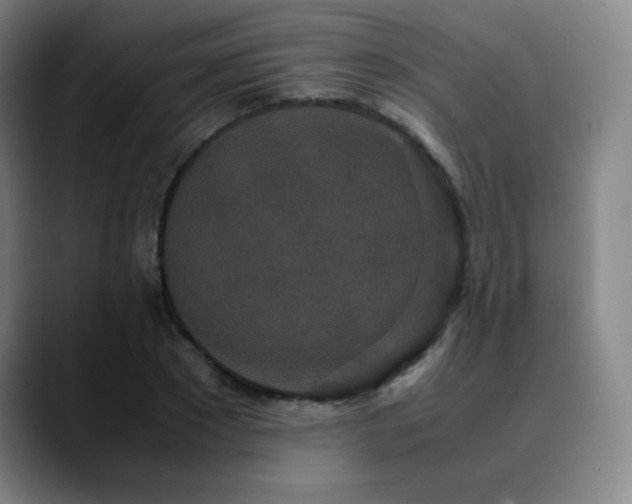 X0000090620881200707171433