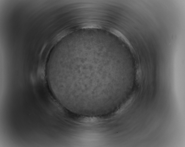 X0000090620882200707171433