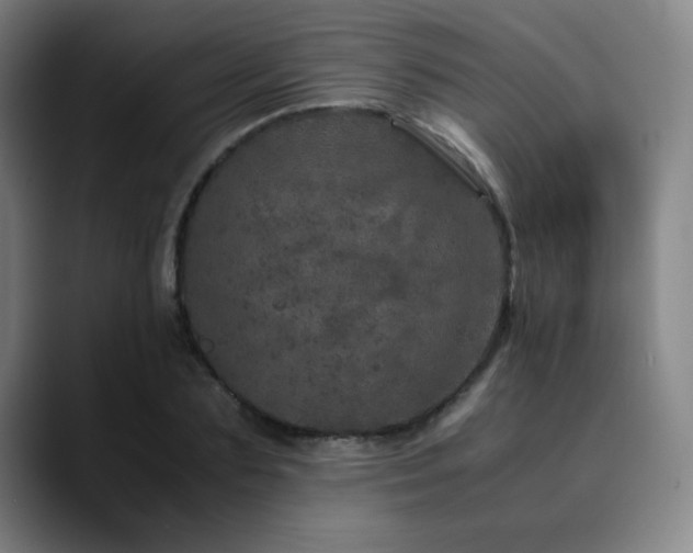 X0000090620883200707171433
